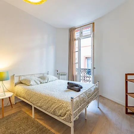 Le Coeur D'idrac - T3 Hypercentre Tuluza